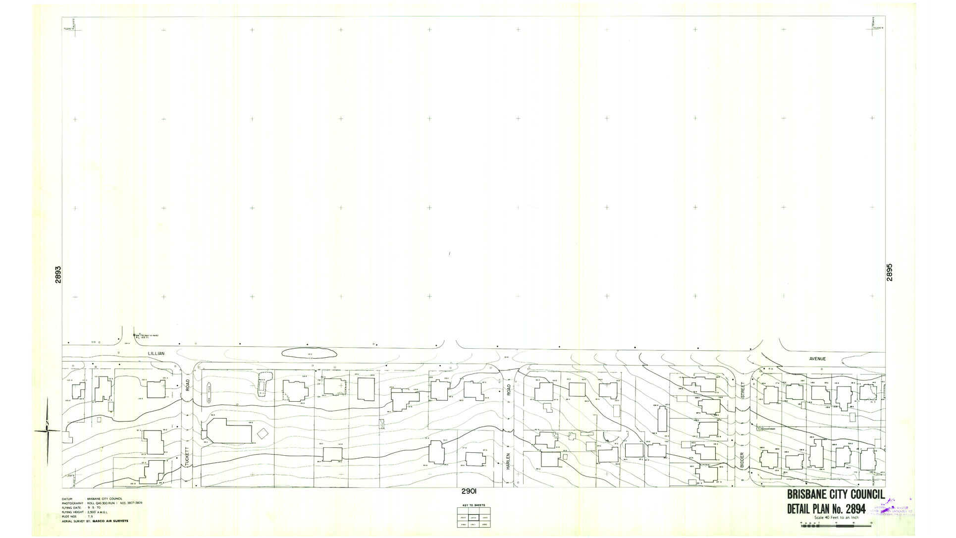 Detail Plan 2894