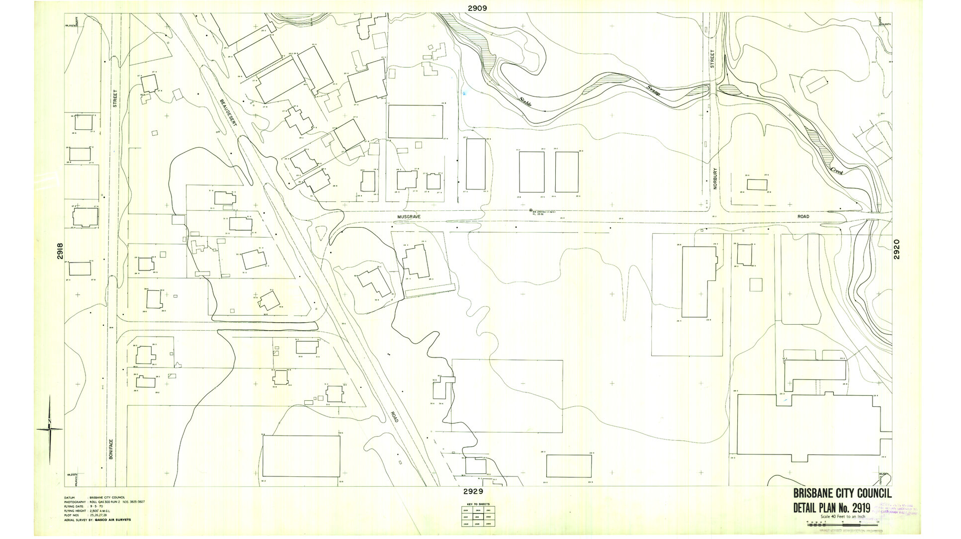Detail Plan 2919