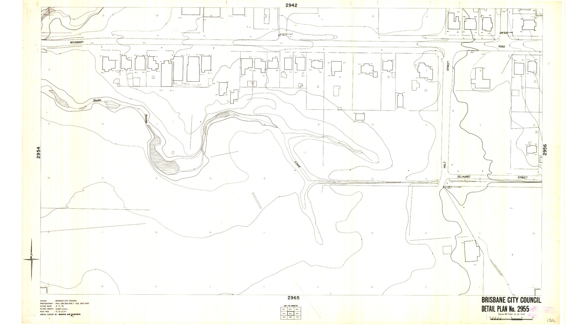 Detail Plan 2955