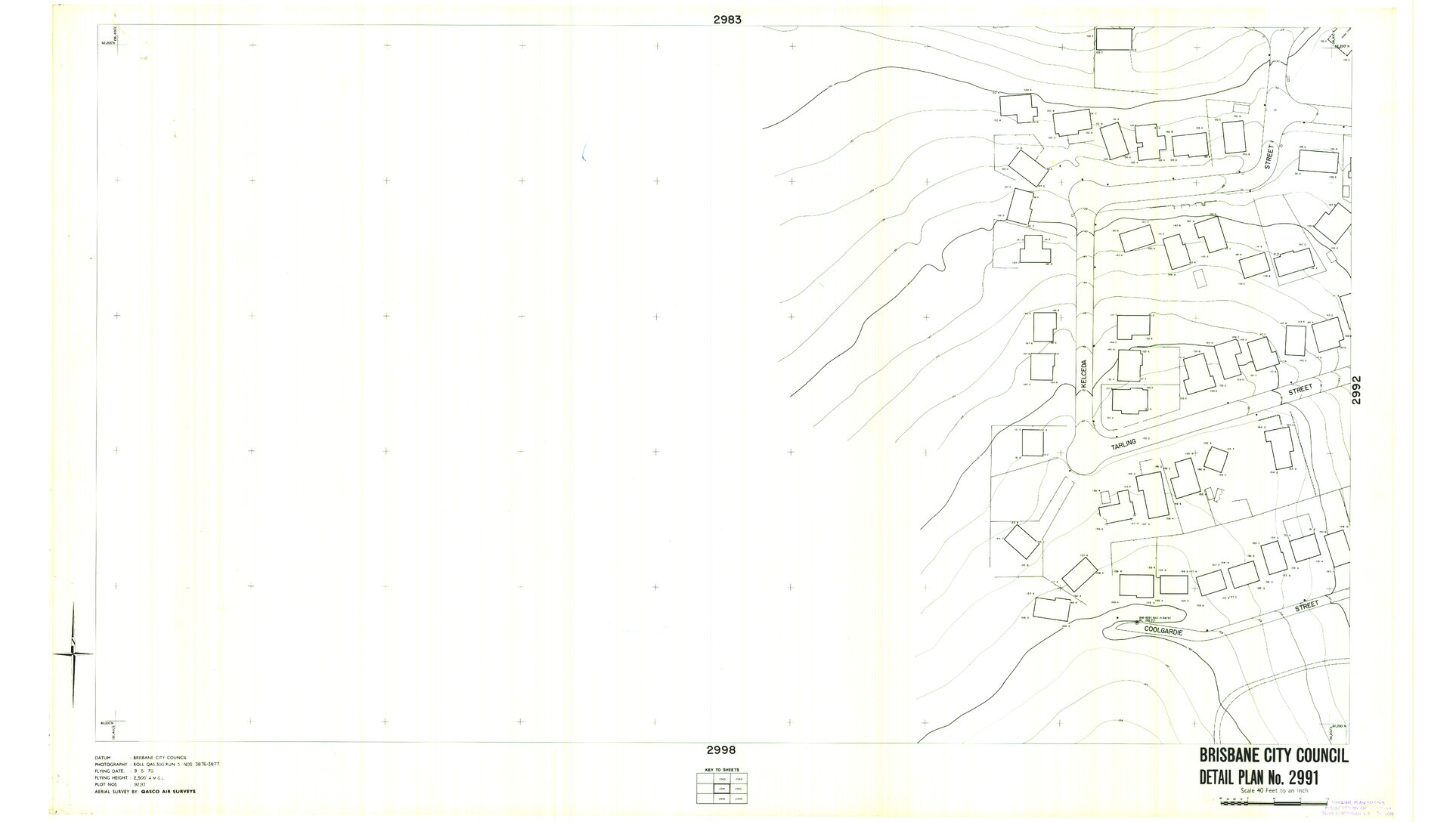 Detail Plan 2991