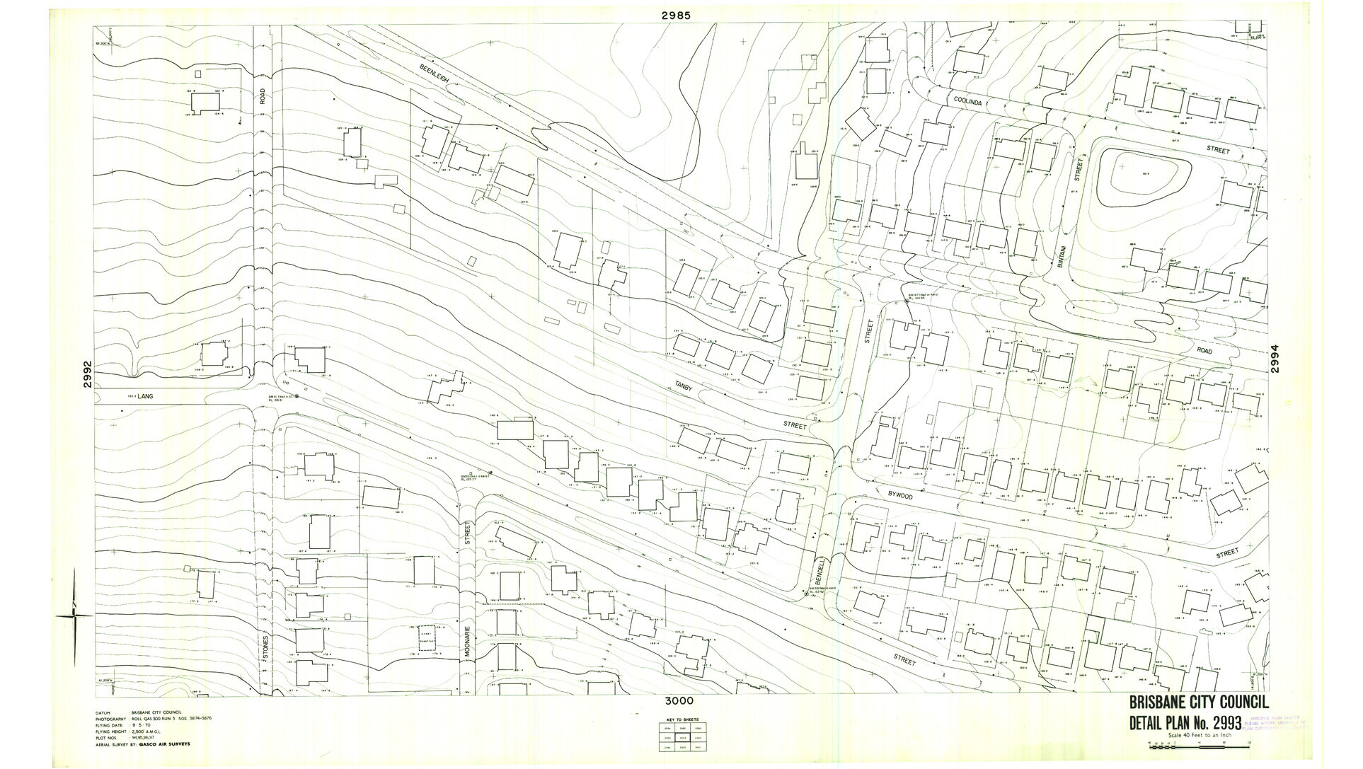 Detail Plan 2993