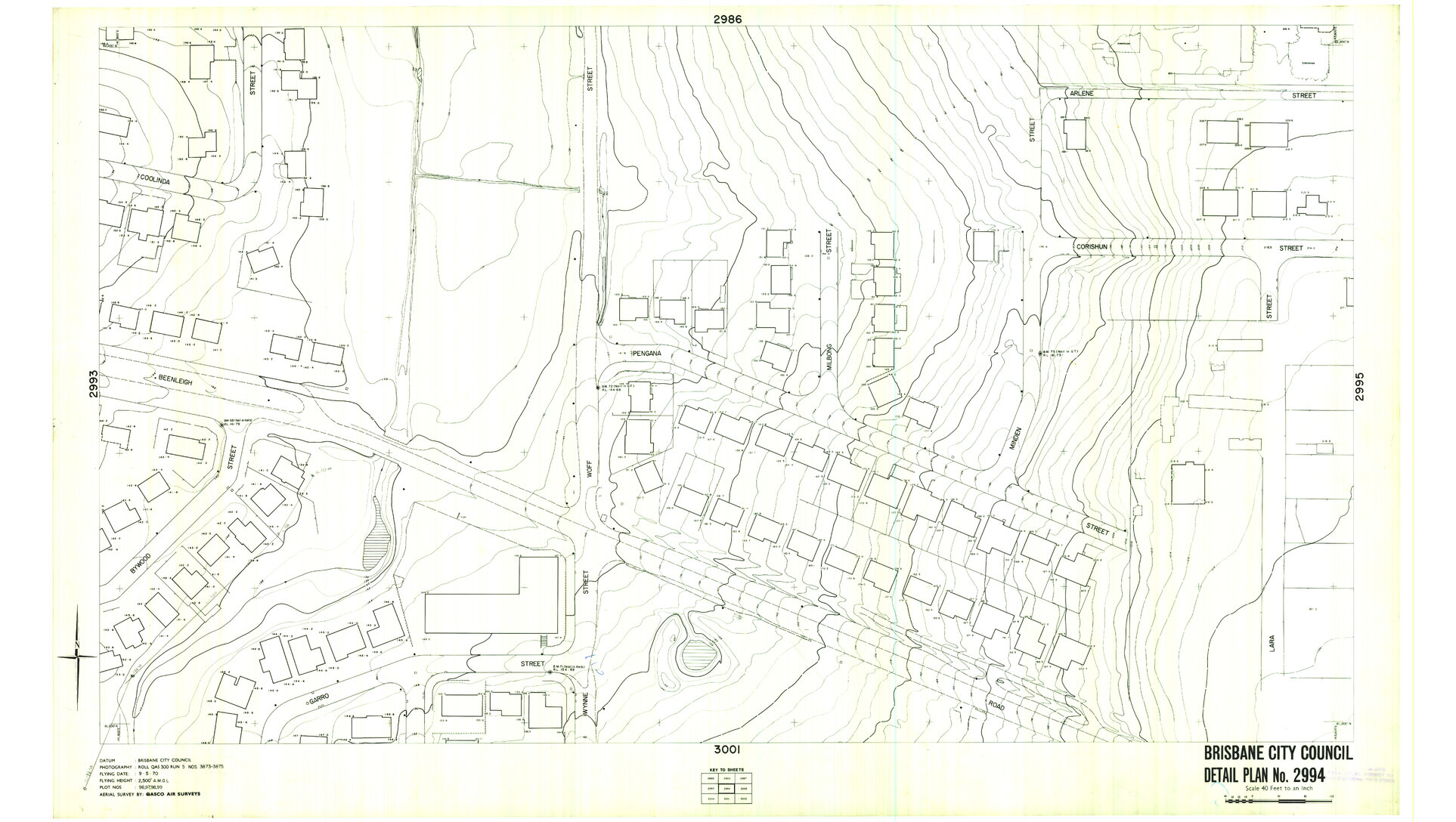 Detail Plan 2994
