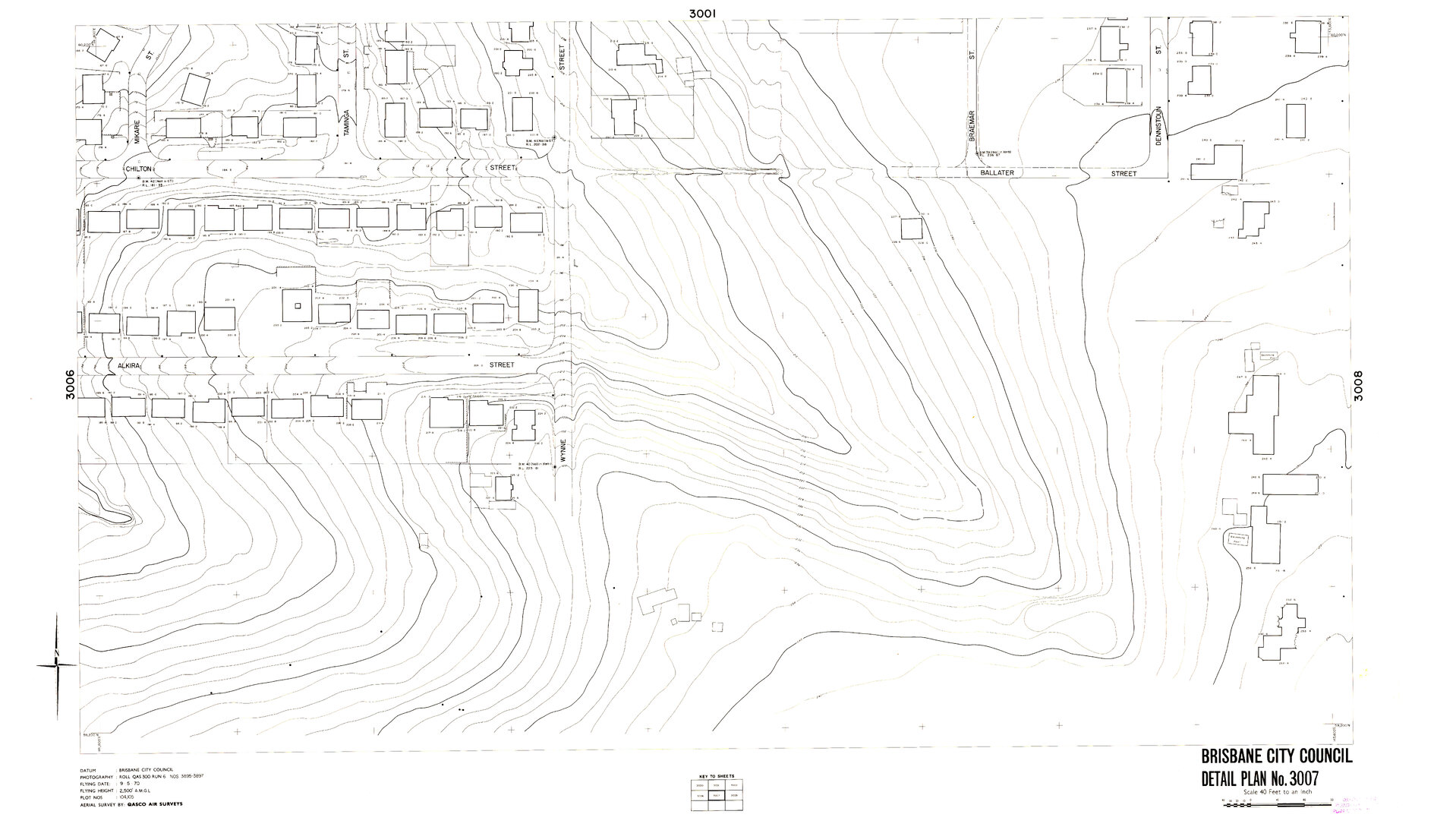 Detail Plan 3007