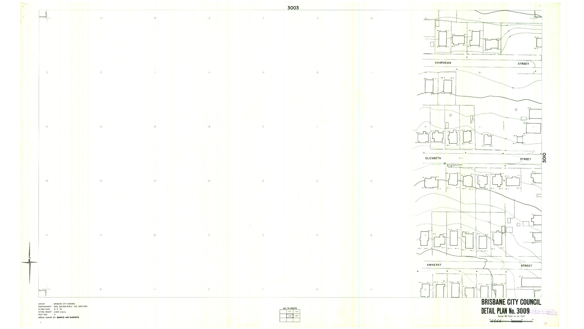 Detail Plan 3009