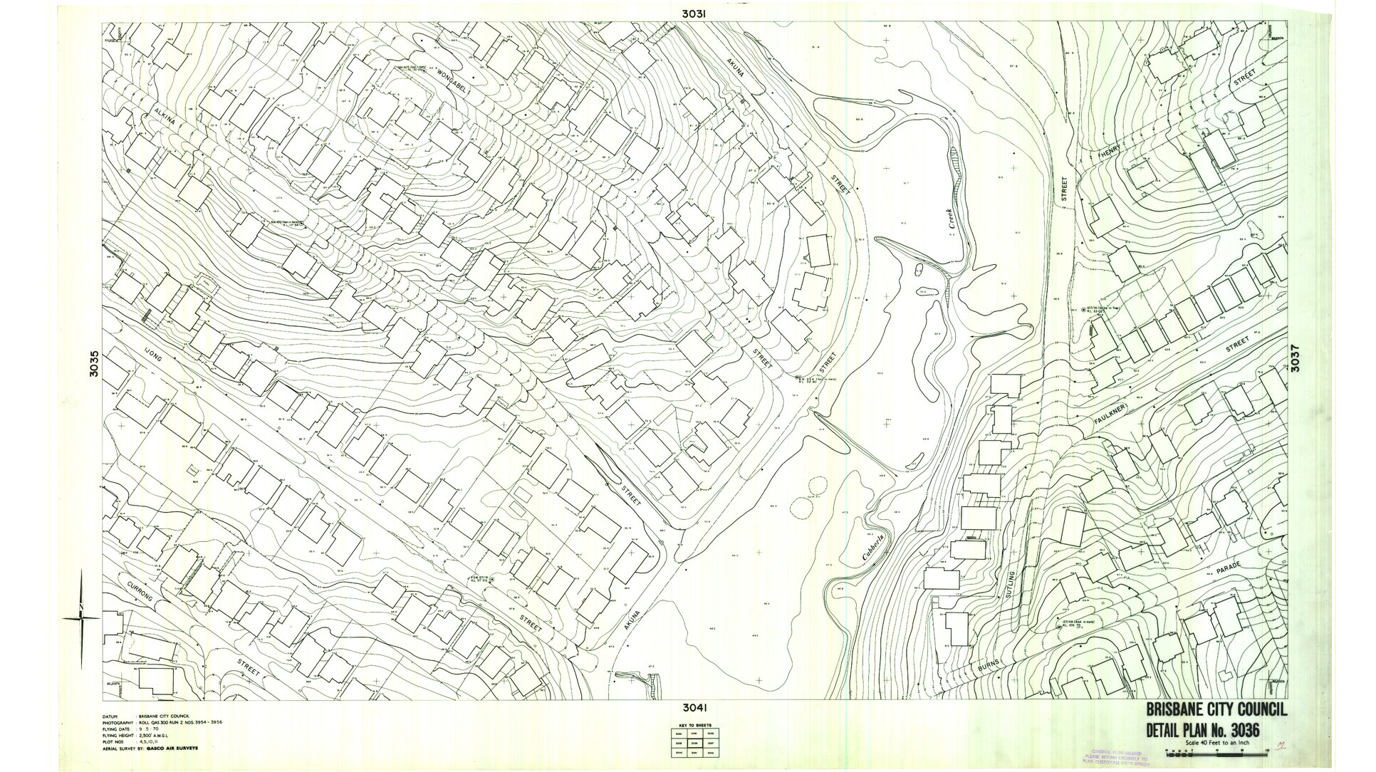 Detail Plan 3036