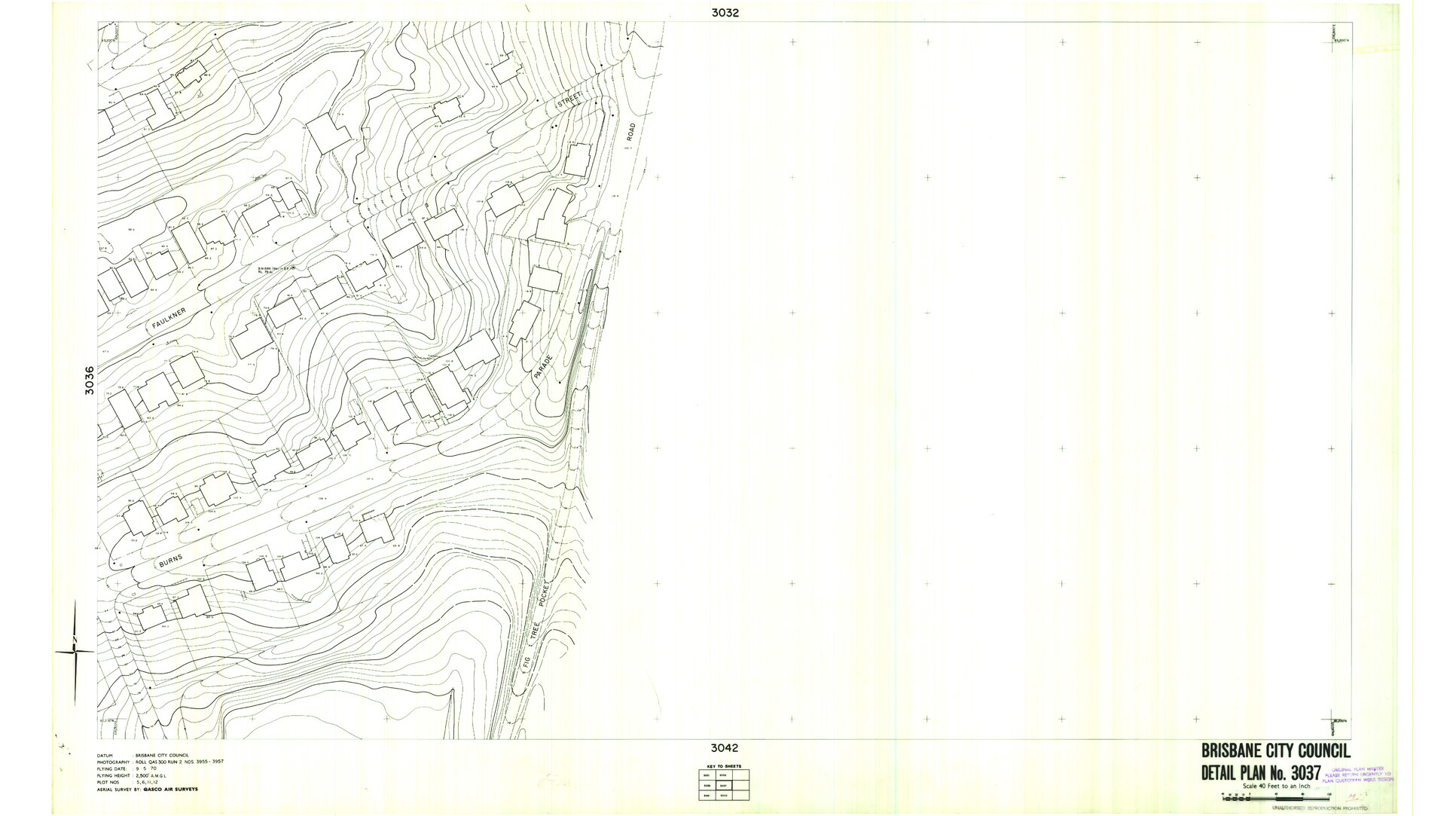 Detail Plan 3037