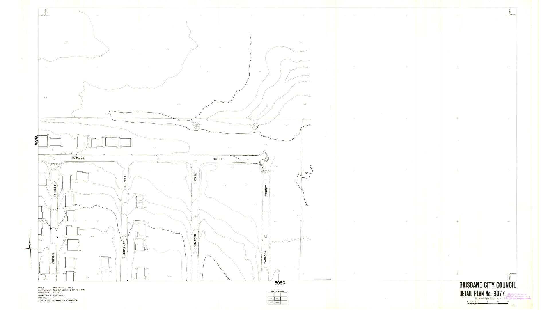 Detail Plan 3077
