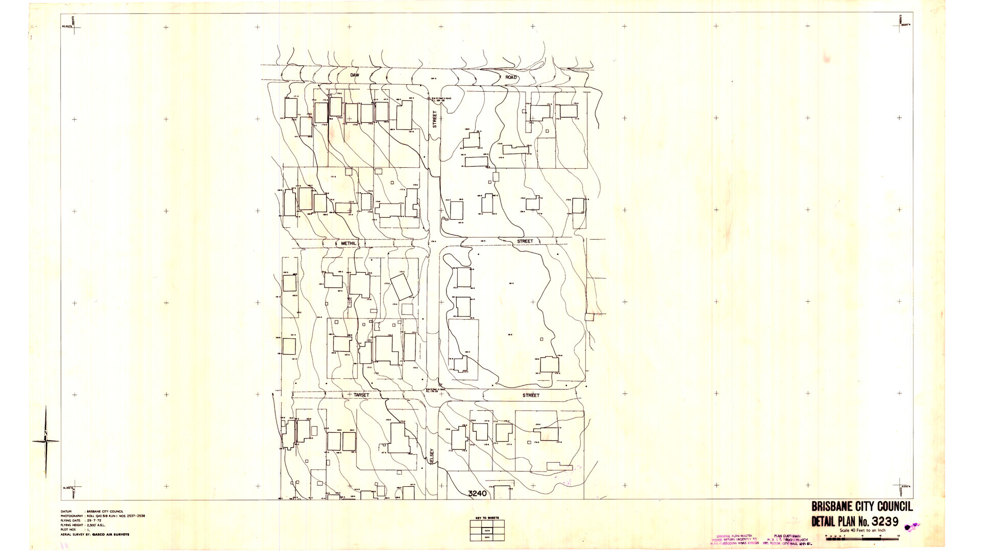 Detail Plan 3239