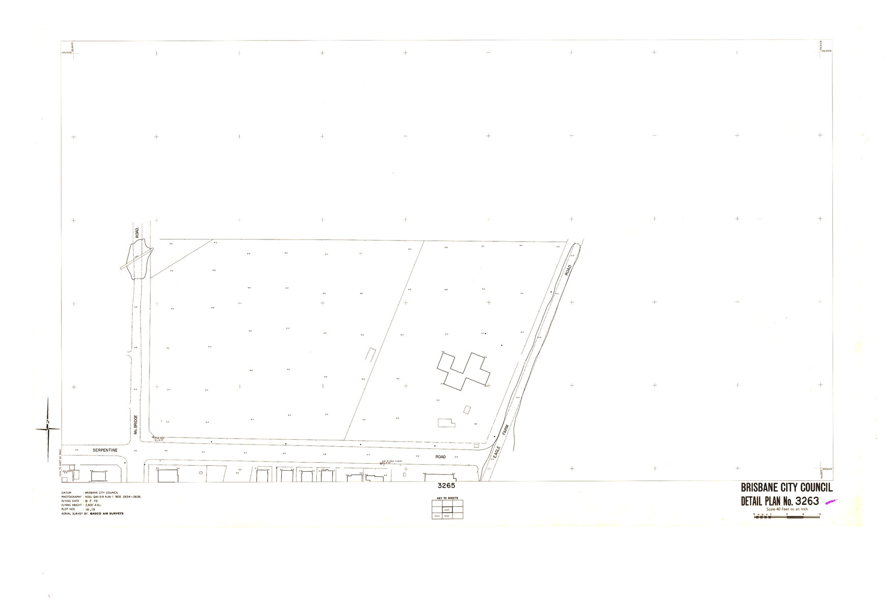 Detail Plan 3263