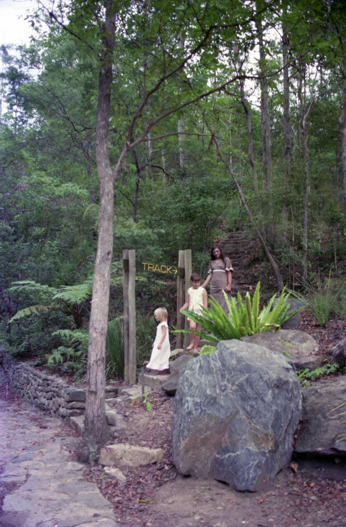 JC Slaughter Falls complex, Mt Coot-Tha - 1975