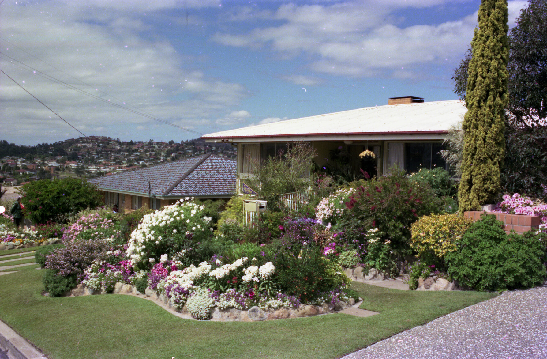 Courier Mail Garden Competition entry - 87 Denham Terrace, Tarragindi - 1975