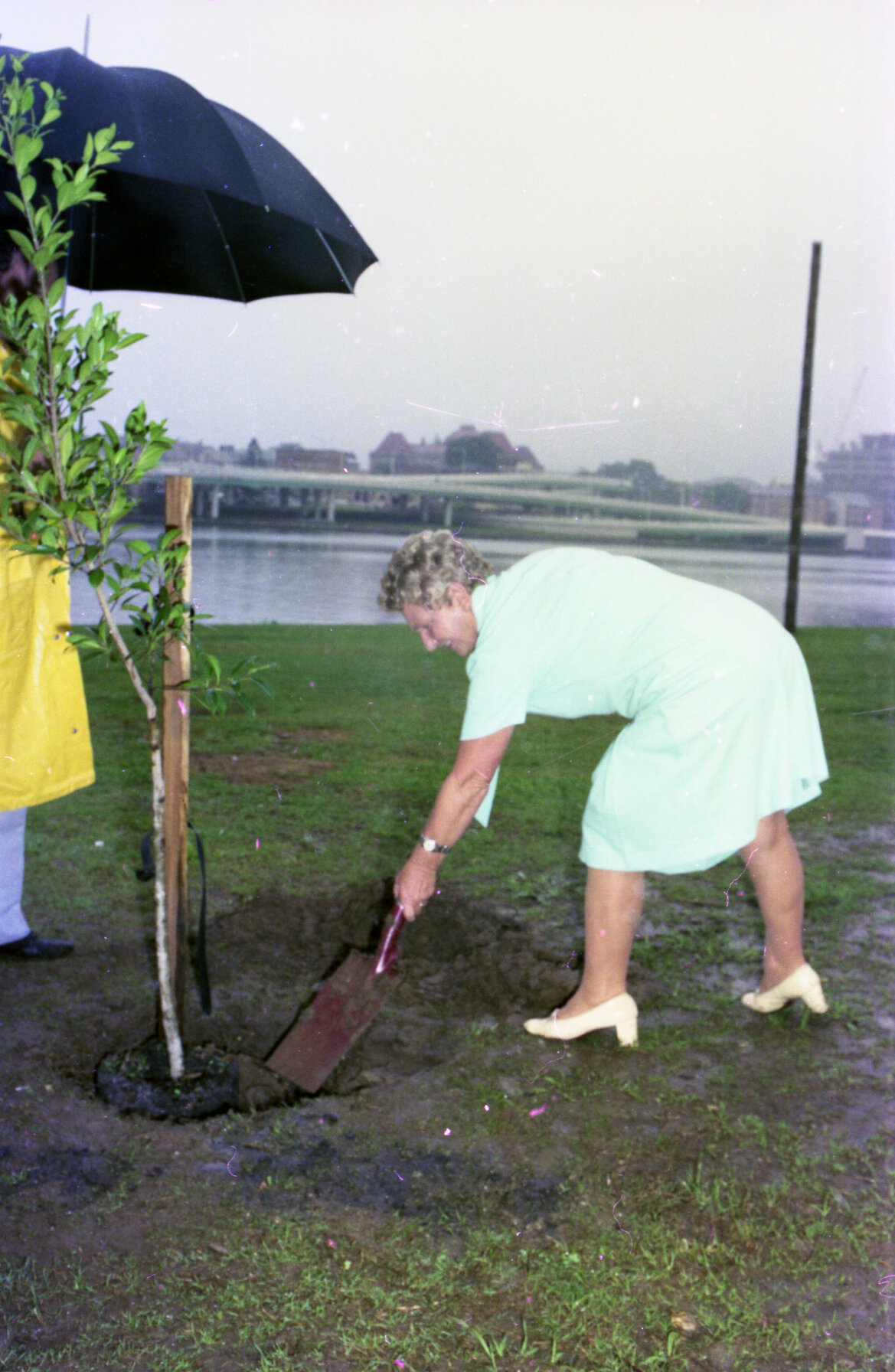Tree Planting at Riverside Park, Stanley Street, South Brisbane - 1975