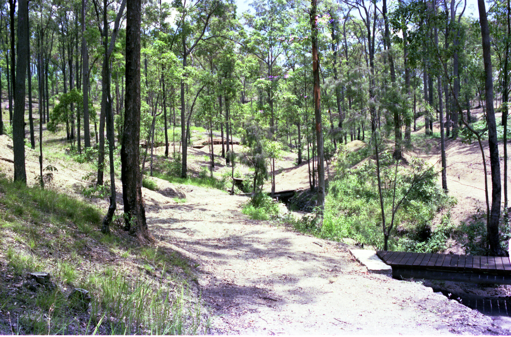 Walking paths in Mt Coot-Tha Botanic Gardens - 1976