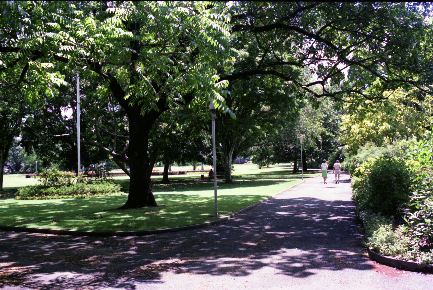 City Botanic Gardens, Brisbane City - 1976