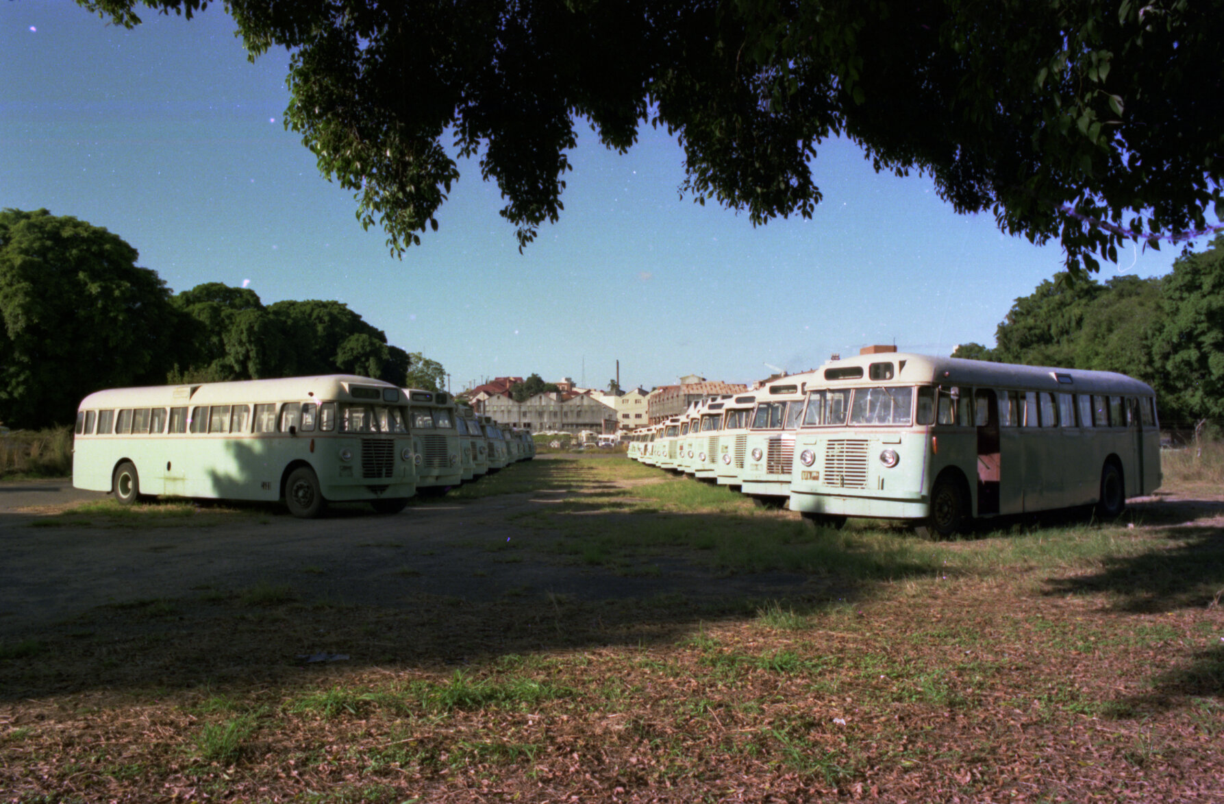Council buses awaiting auction - 1976