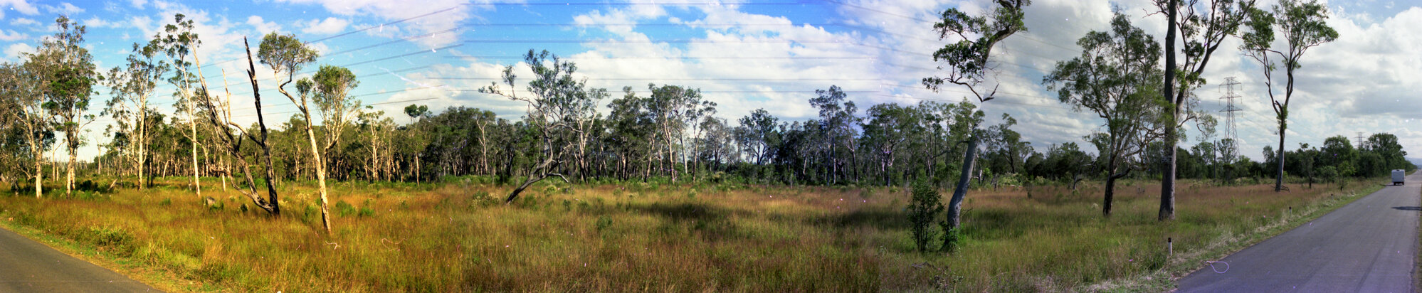 Panorama of bushland, possibly at Telegraph Road, Bracken Ridge, inspecting for weed growth - 1976