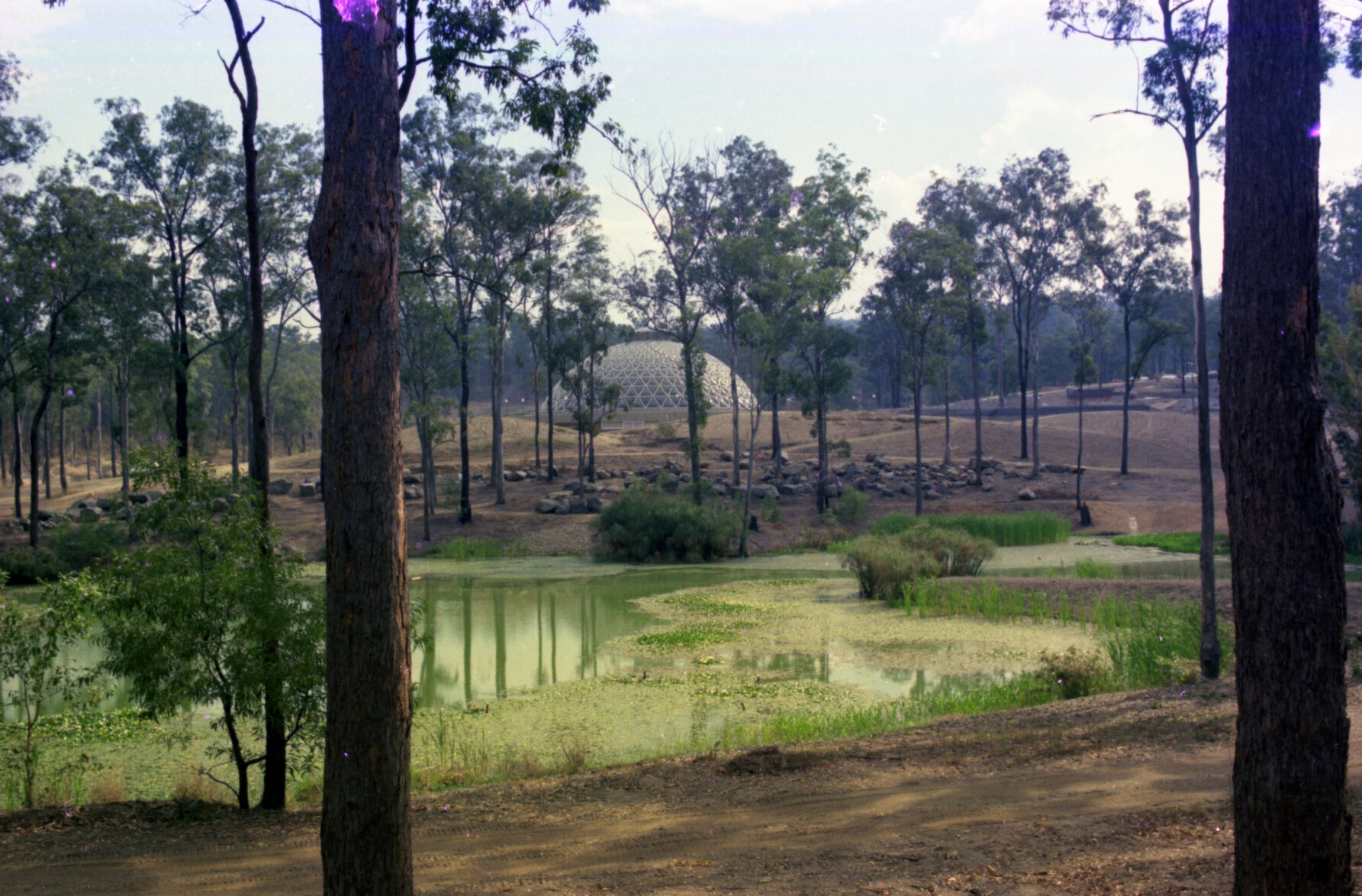 Landscape of pond at Mt Coot-Tha with tropical dome in the background - 1977