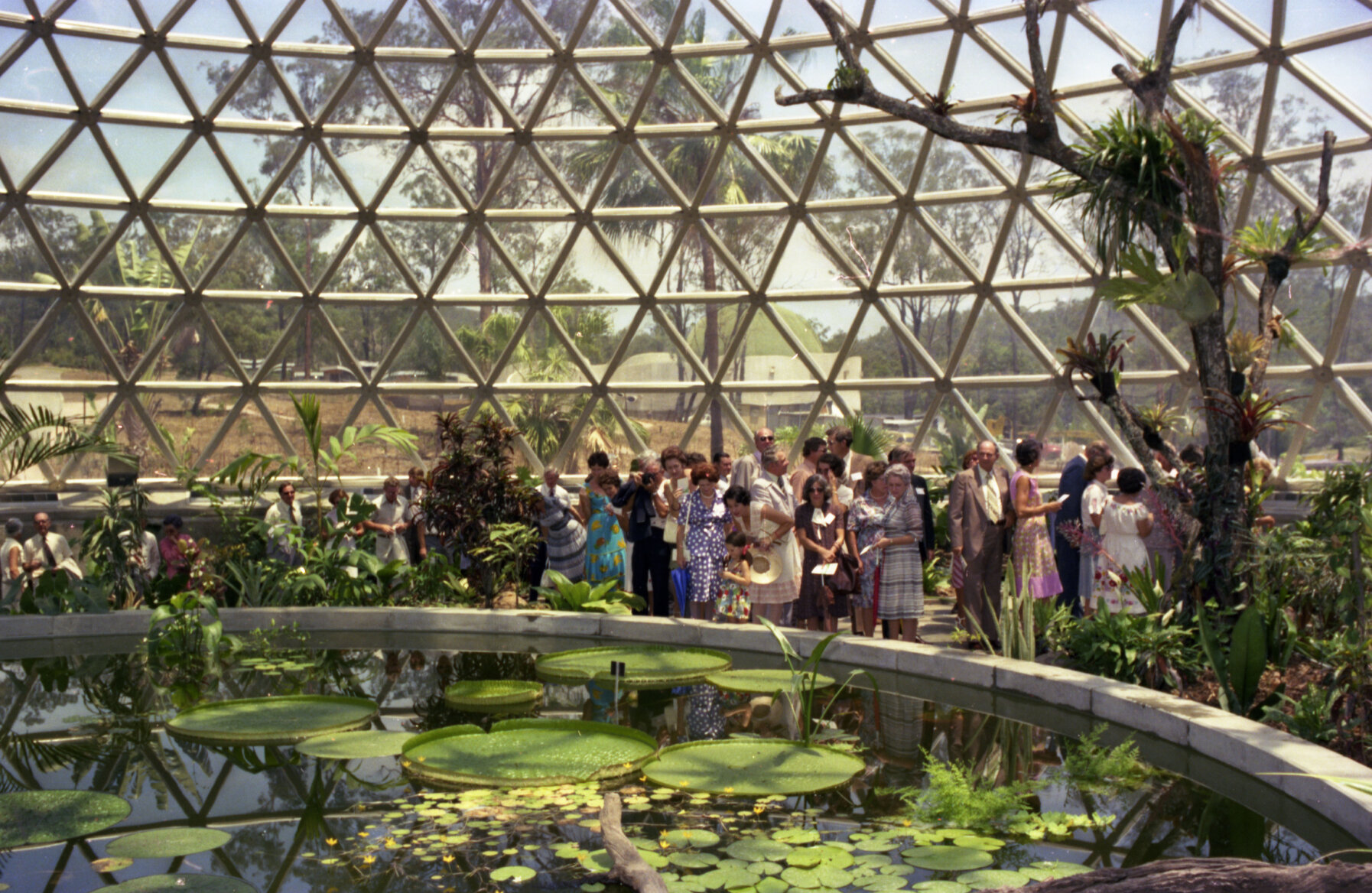 Crowds at opening of the Tropical Dome, Mt. Coot-Tha - 1977