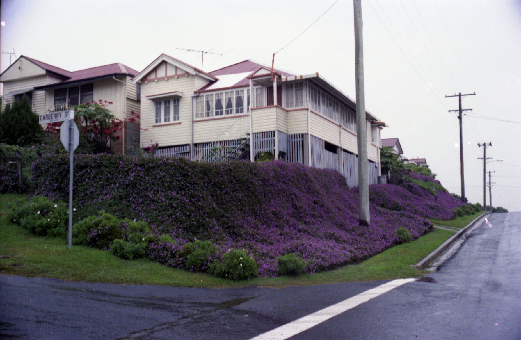 House with sweeping purple flowers on corner of Colston Road and Carberry Street, Grange - 1981