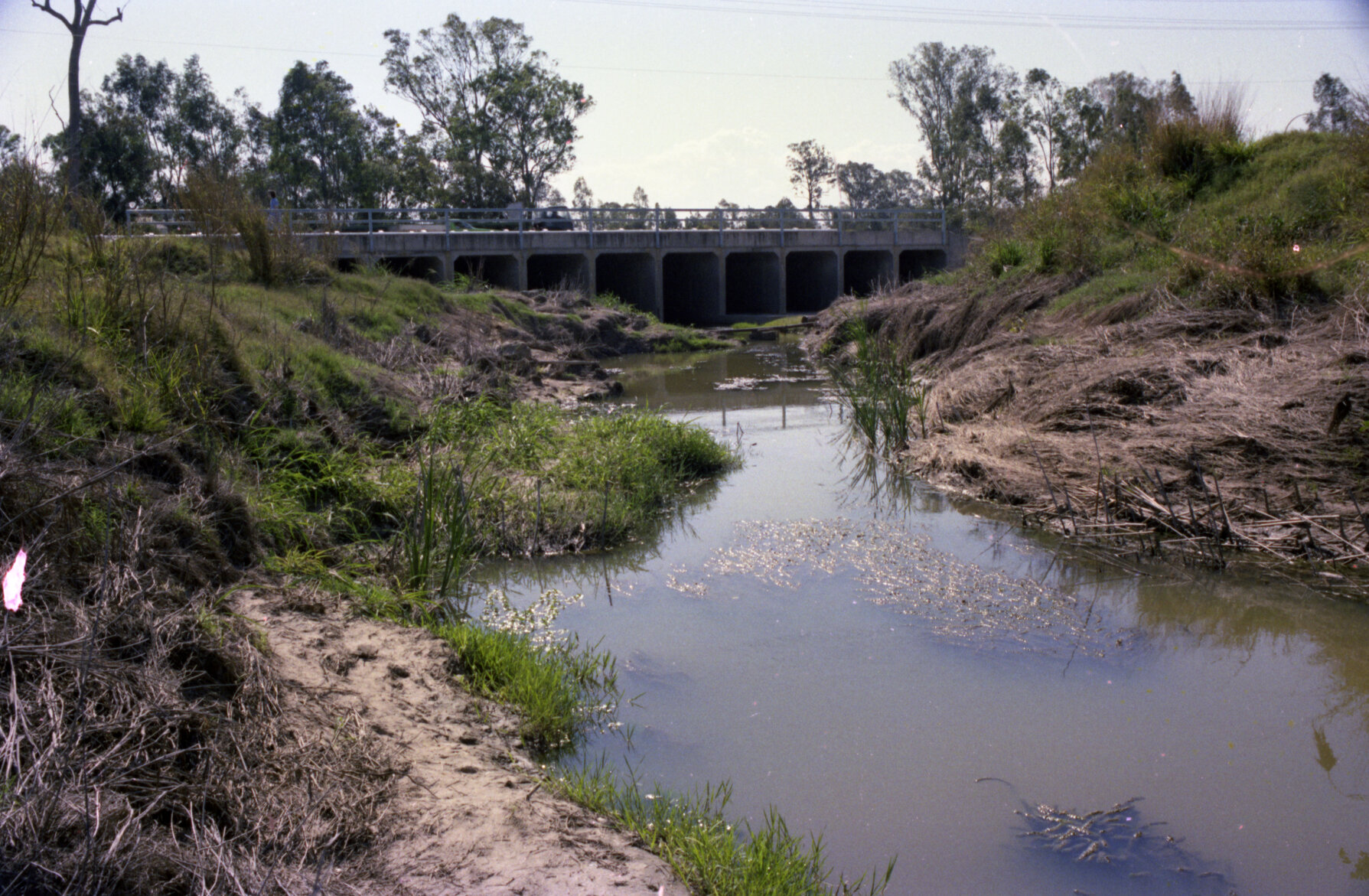 Stable Swamp Creek, possibly Ipswich Road section, Rocklea - 1981