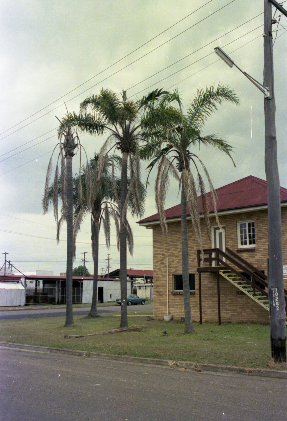 6 West Avenue, Wynnum - 1980