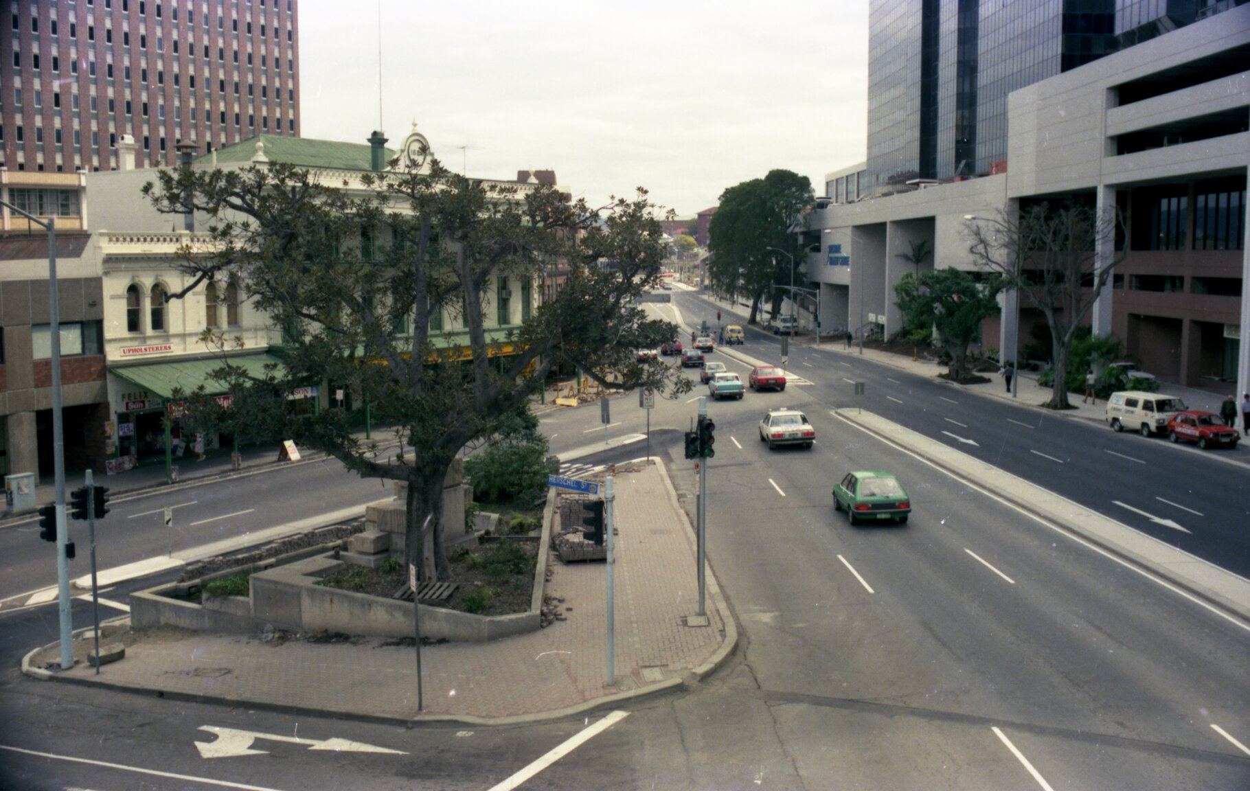 Tree at corners of Roma, George and Herschel Streets outside Roma Street Station, Brisbane City- 1986
