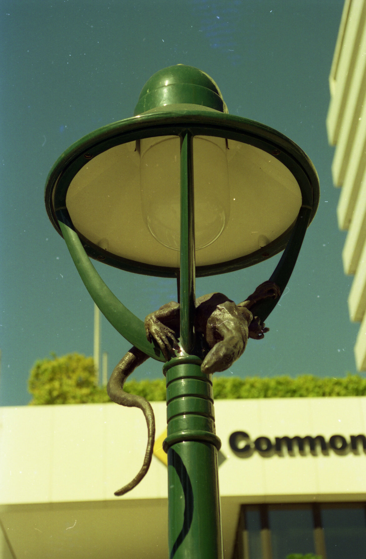 Native animal sculptures hanging from street lights, Adelaide Street, Brisbane City - 1996