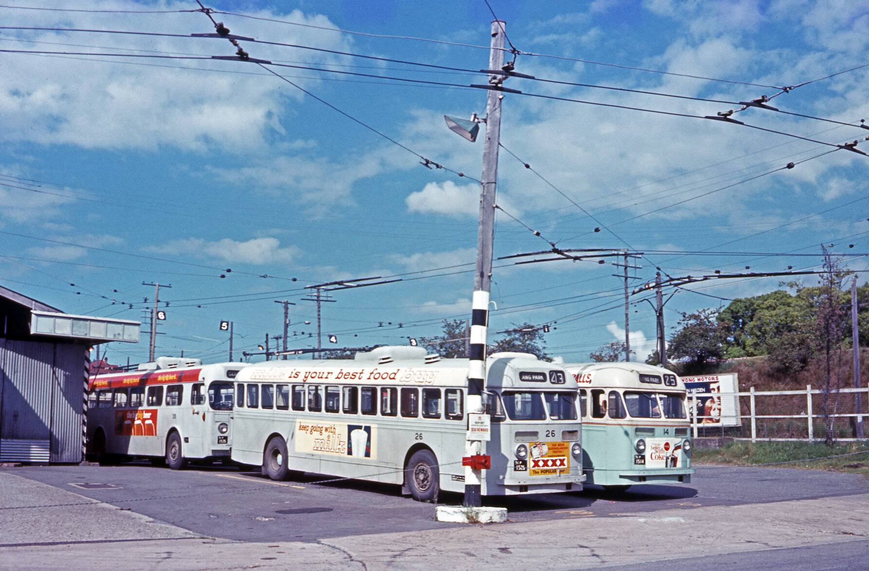 Trolley buses at Milton depot - 1968