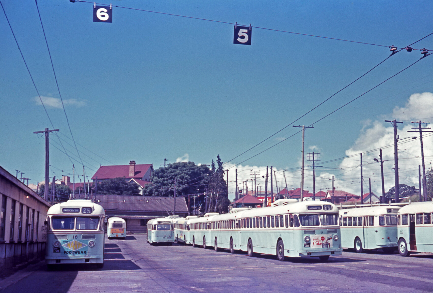 Fleet of buses and trolley buses at Milton depot - 1968