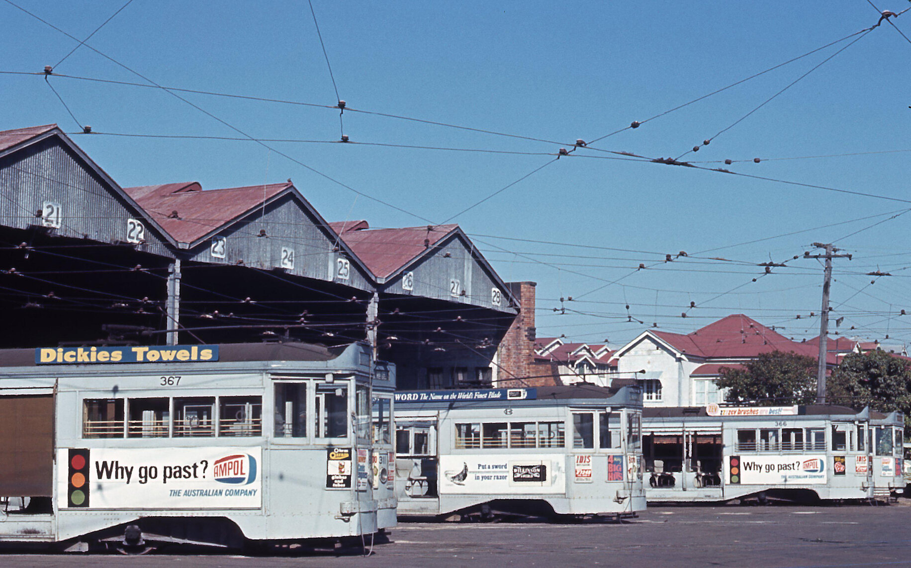 Tram fleet with No. 367, No. 311, No. 368, and No. 366 at Annerley depot - 1968