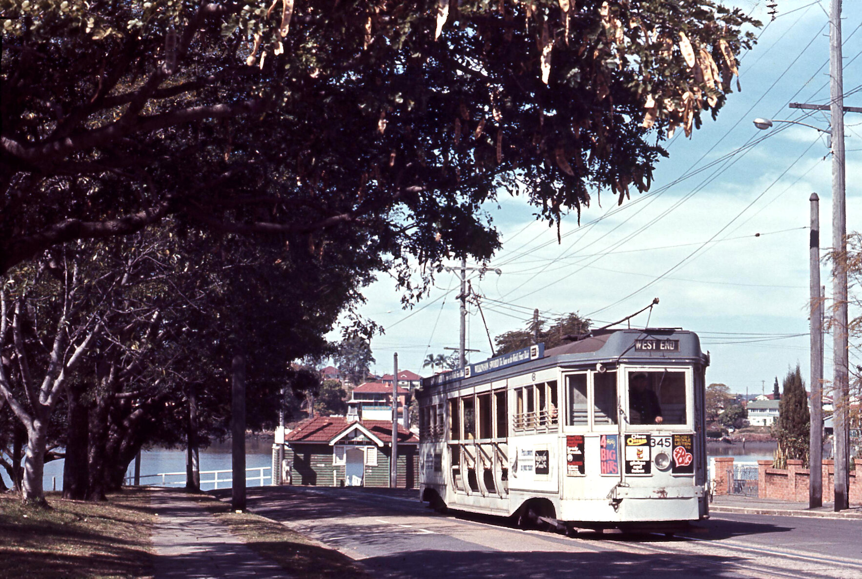 Tram No. 345 at New Farm Park terminus with ferry terminal - 1968