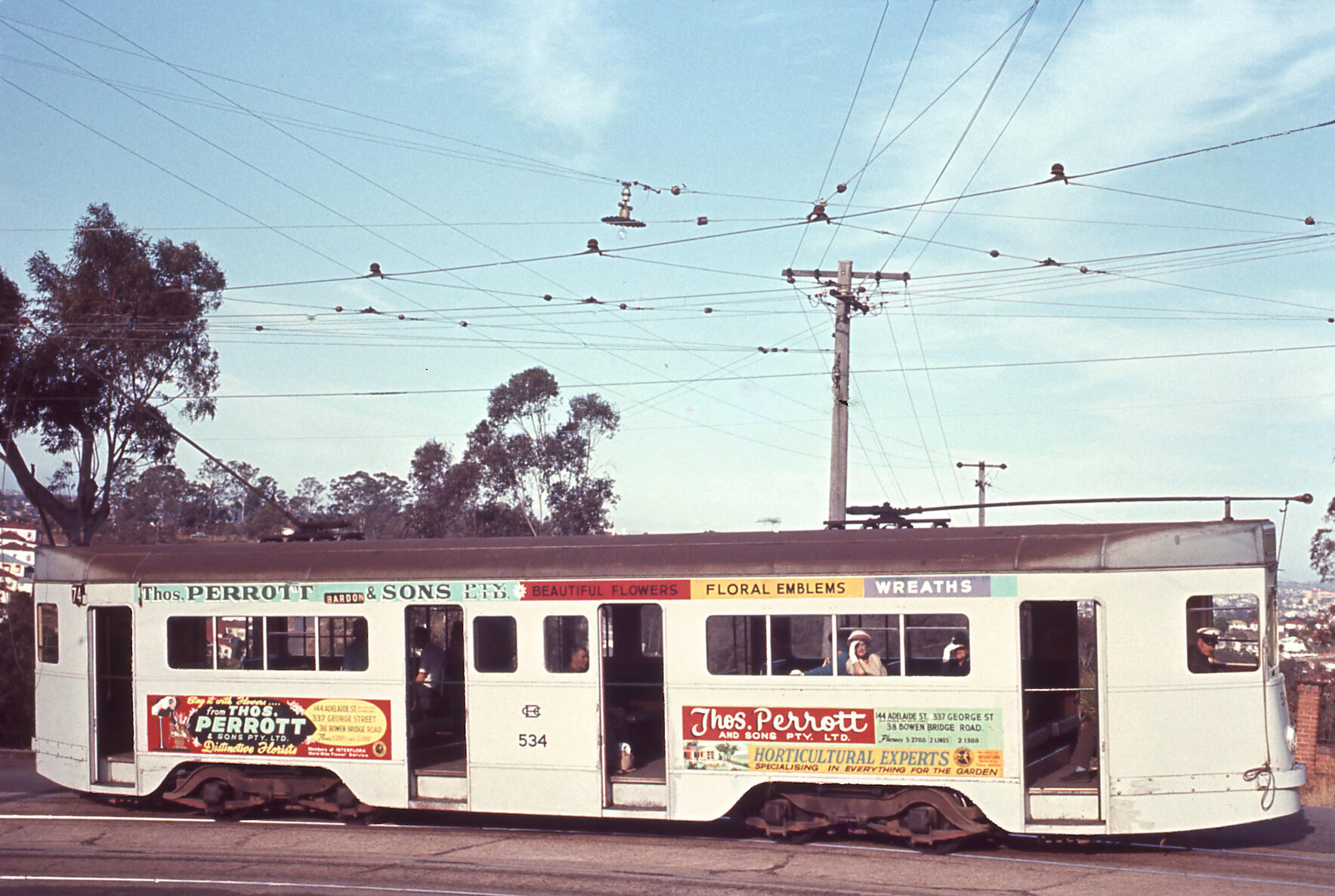 Tram No. 534 in Bardon - 1968