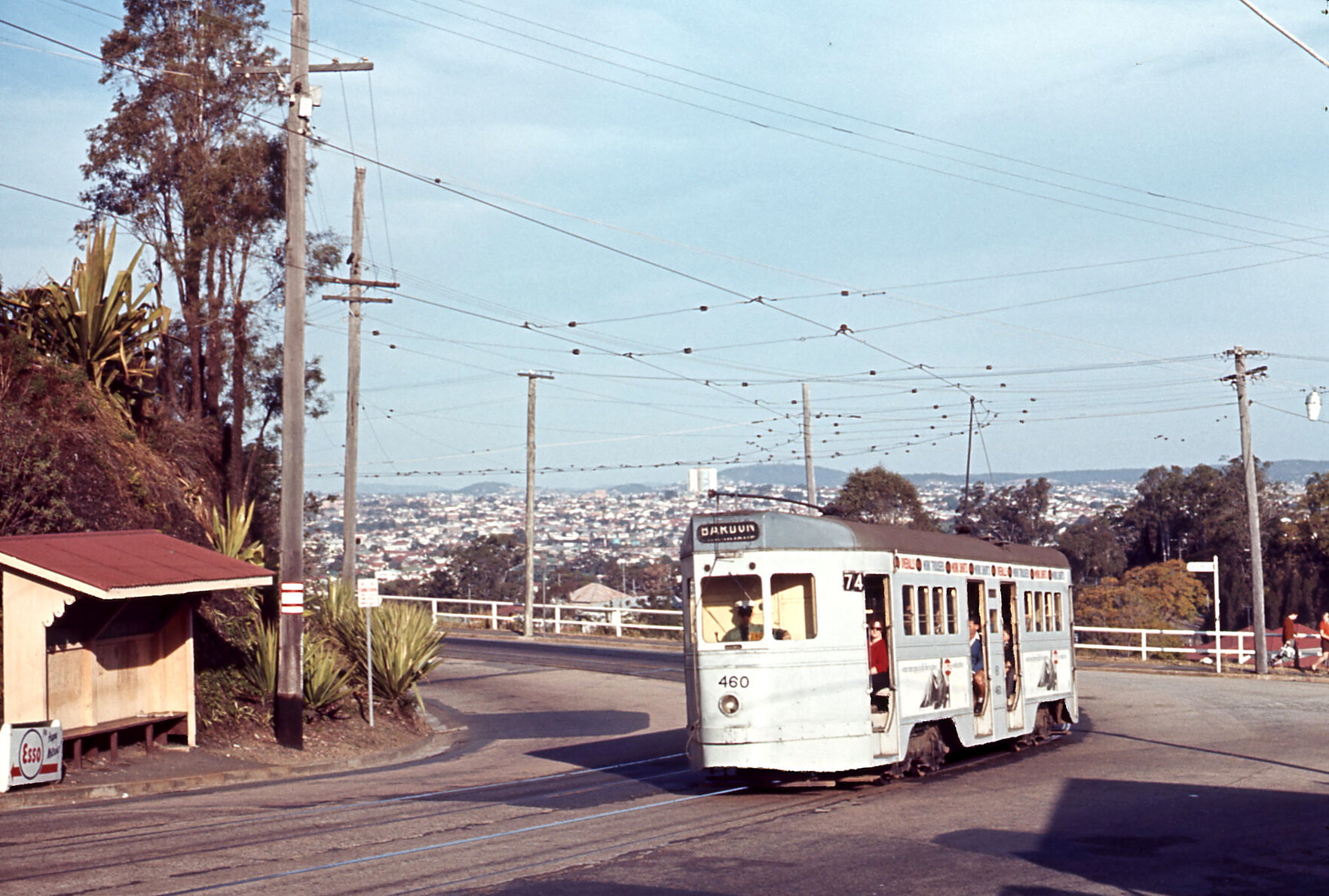 Tram No. 460 on Kaye Street, Bardon - 1968