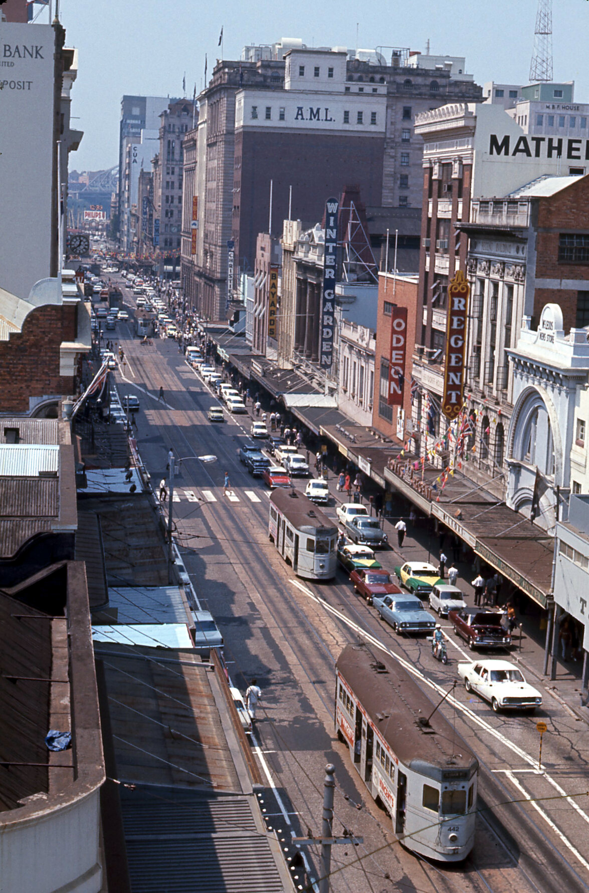 Trams No. 442 and No. 505 on Queen Street, Brisbane City - 1968