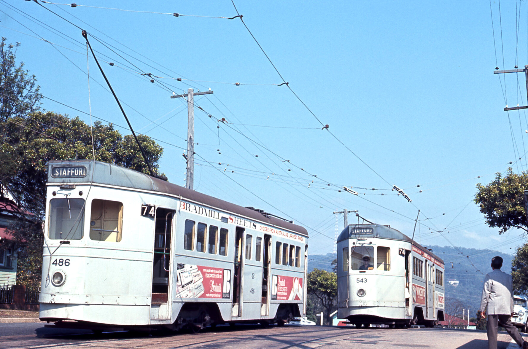 Tram No. 486 and No. 543 on Simpsons Road, Bardon - 1968