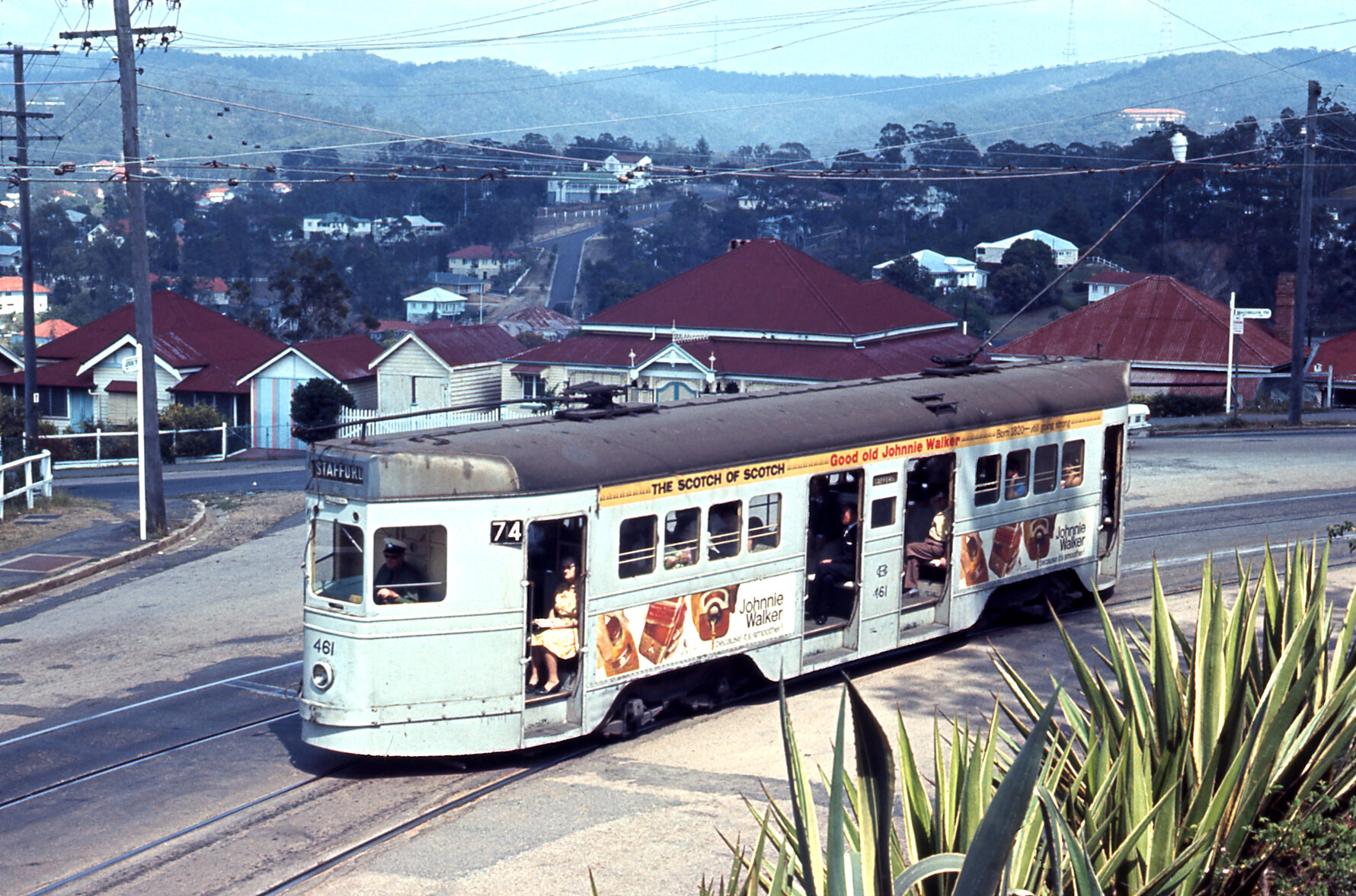 Tram No. 461 on Kaye Terrace, Bardon - 1968