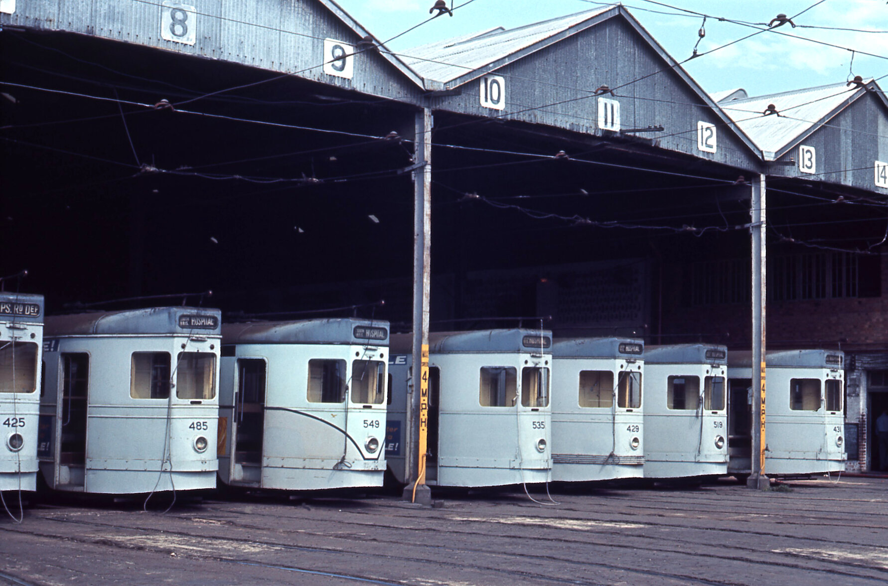 Trams No. 425, No. 485, No. 535, No. 429, No. 519, No. 431 at Annerley depot, Ipswich Road - 1968