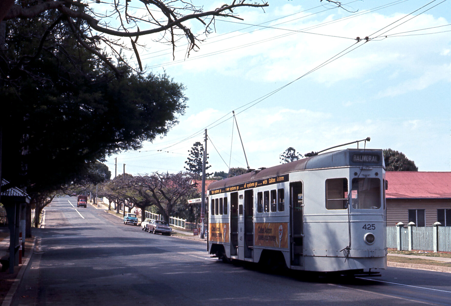 Tram No. 425 at Oriel Park terminus on Alexandra Road, Ascot - 1968