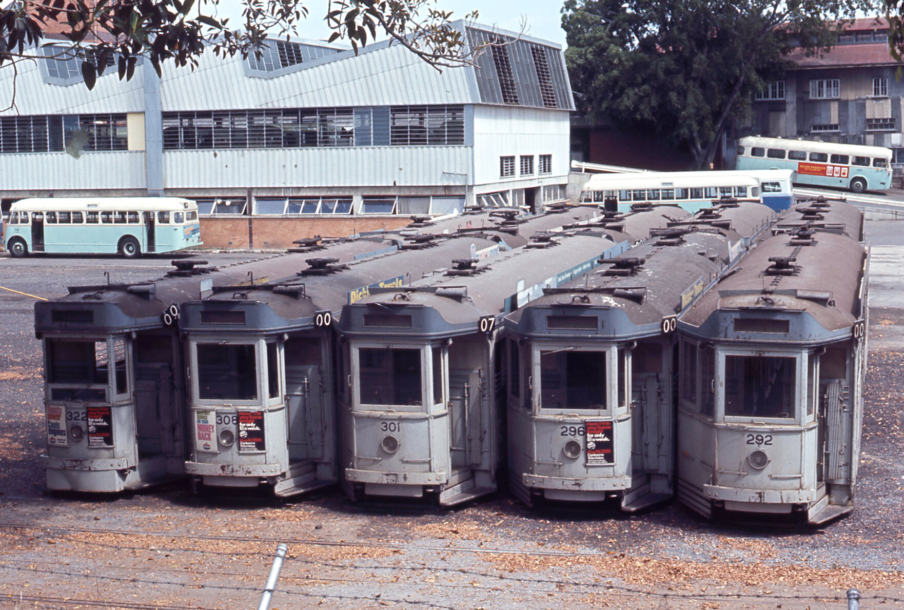 Trams No. 322, No. 308, No, 301, No. 296 and No. 292 in storage at Milton depot - 1968