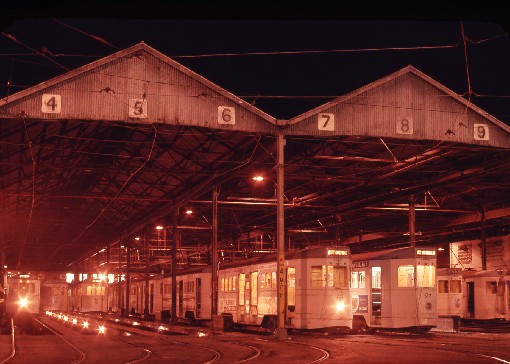 Trams No. 532, No. 461, No. 421, No. 517, No. 425 at Annerley depot - 1968
