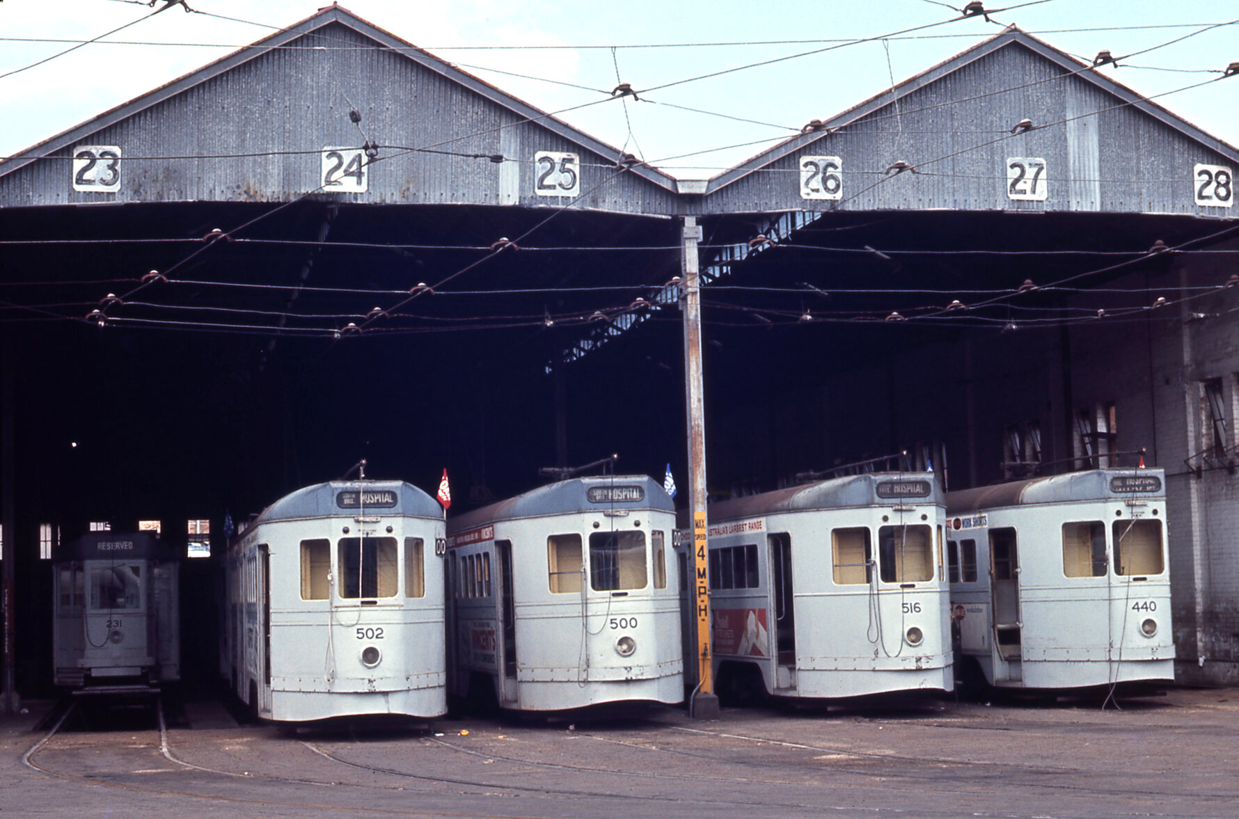 Trams No. 231, No. 502, No. 500, No. 516, No. 440 at Annerley depot - 1968
