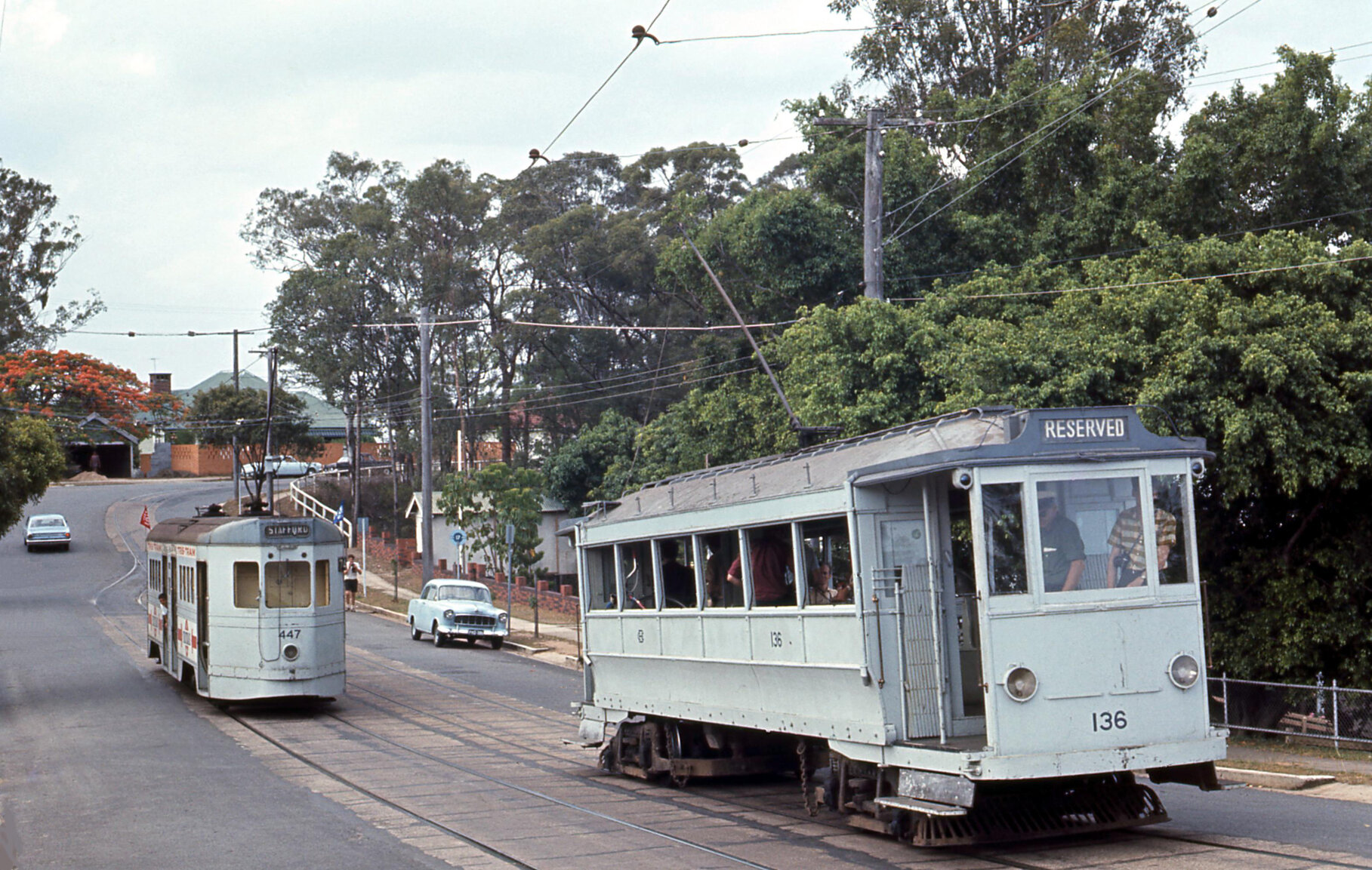 Trams No. 447 and No. 136 on Simpsons Road, Bardon - 1968
