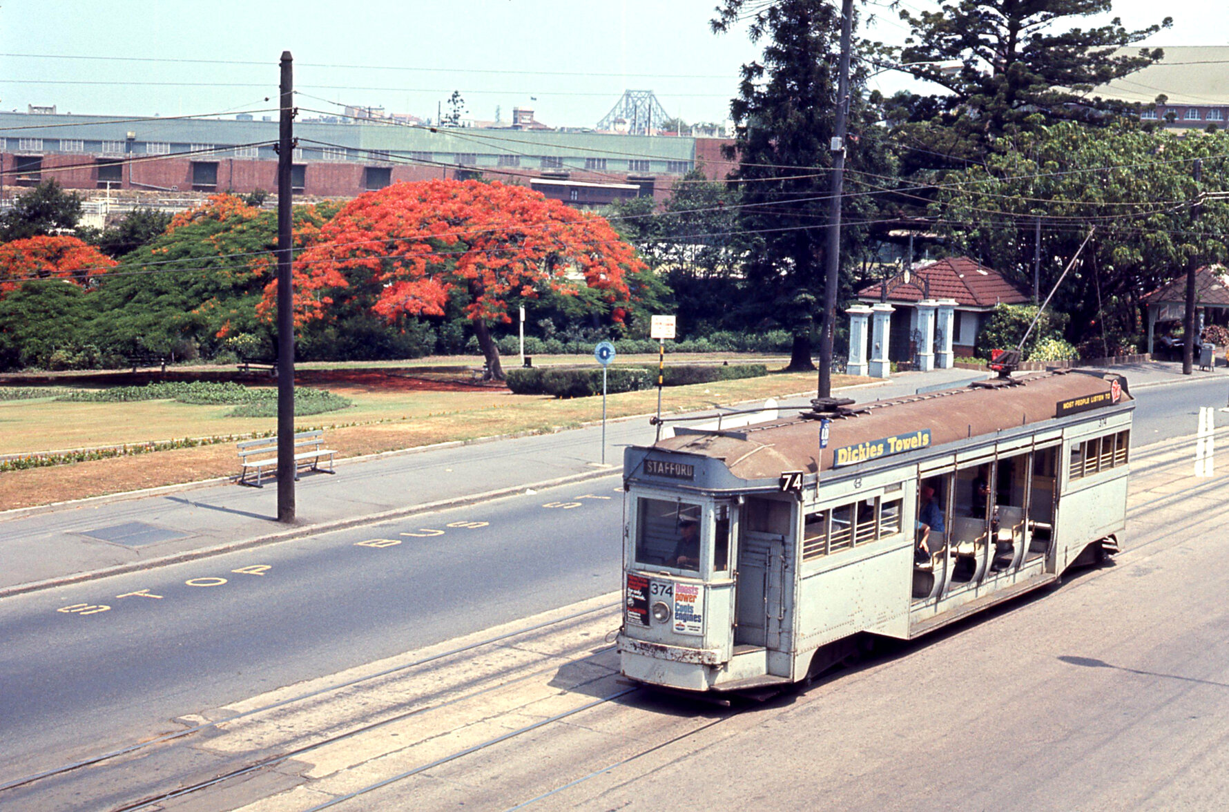 Tram No. 374 on Bowen Bridge Road near Bowen Park, Bowen Hills - 1968