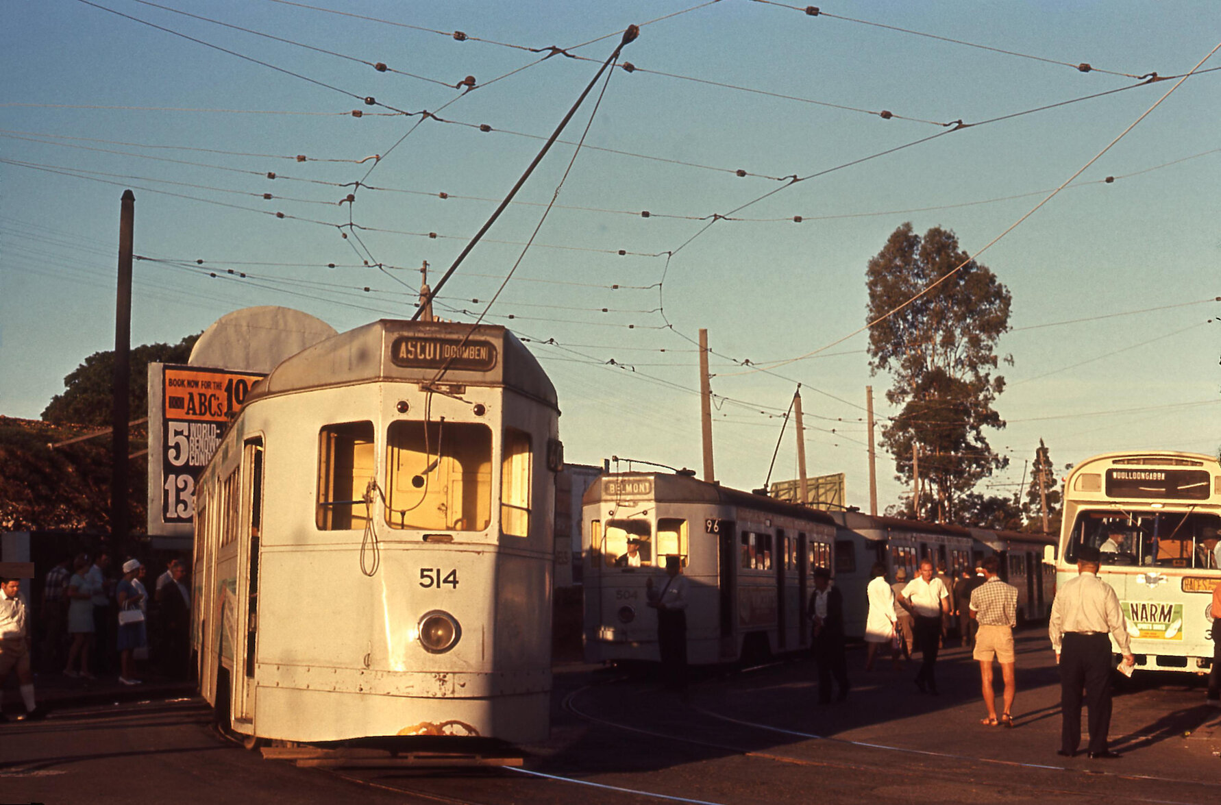 Trams No. 514, No. 504 and Leyland bus No. 318 turning onto Racecourse Road, Ascot - 1969