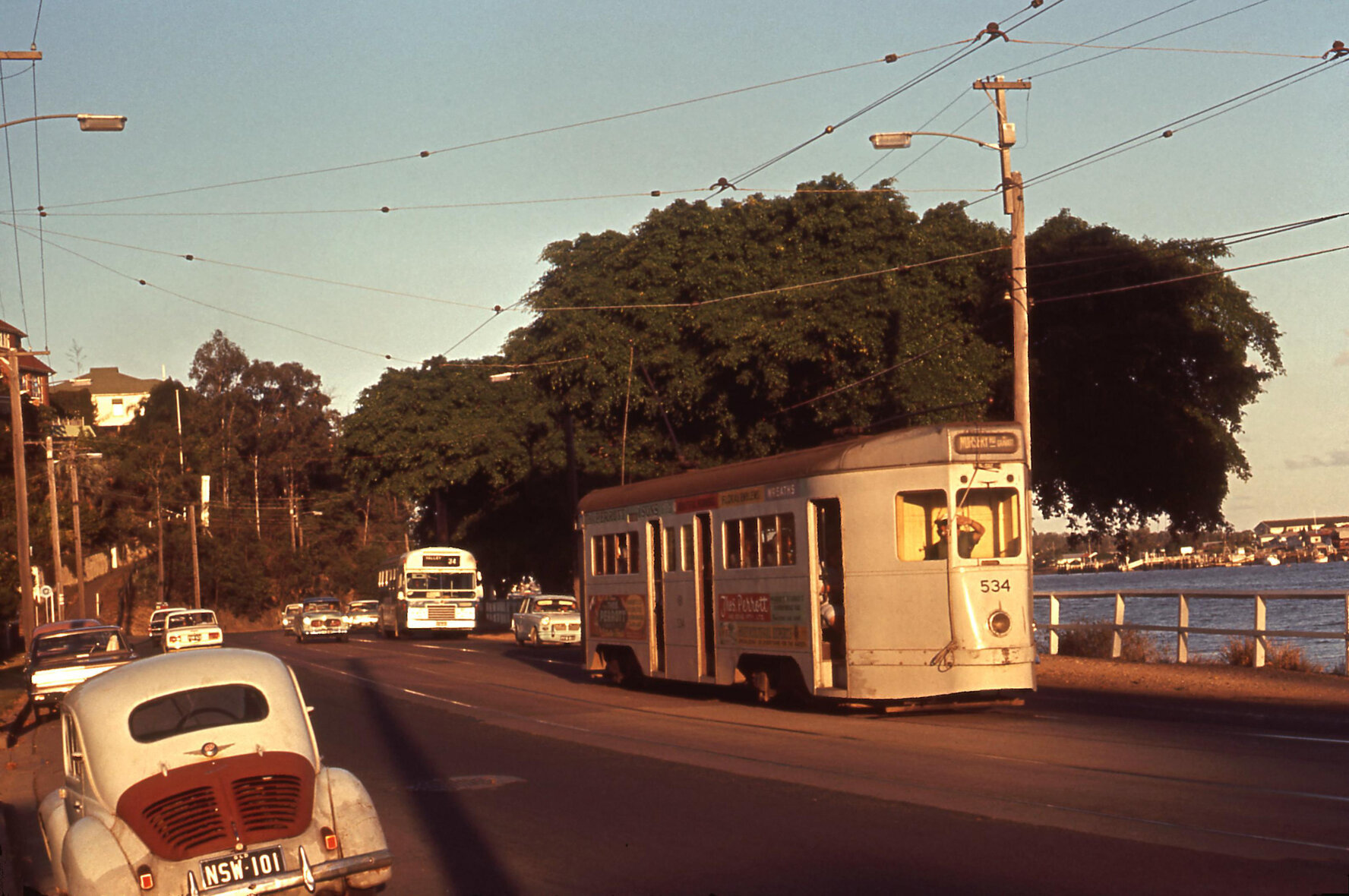 Tram No. 534 and Leyland Panther on Kingsford Smith Drive at sunset, Hamilton - 1969