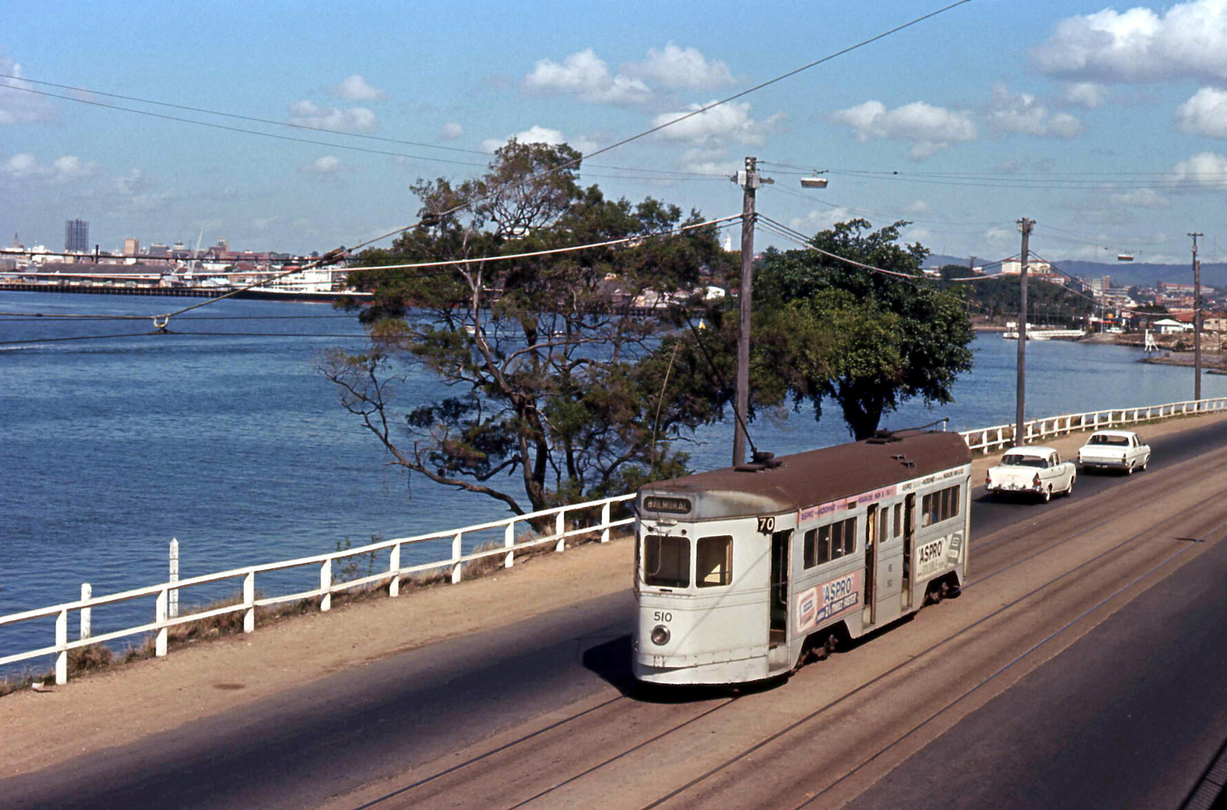 Tram No. 510 on Kingsford Smith Drive, Hamilton - 1969