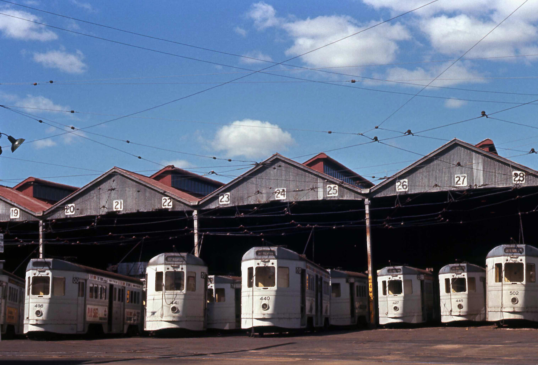 Trams No. 498, No. 441, No. 440, No. 427, No. 445 and No. 502 at Annerley depot - 1969