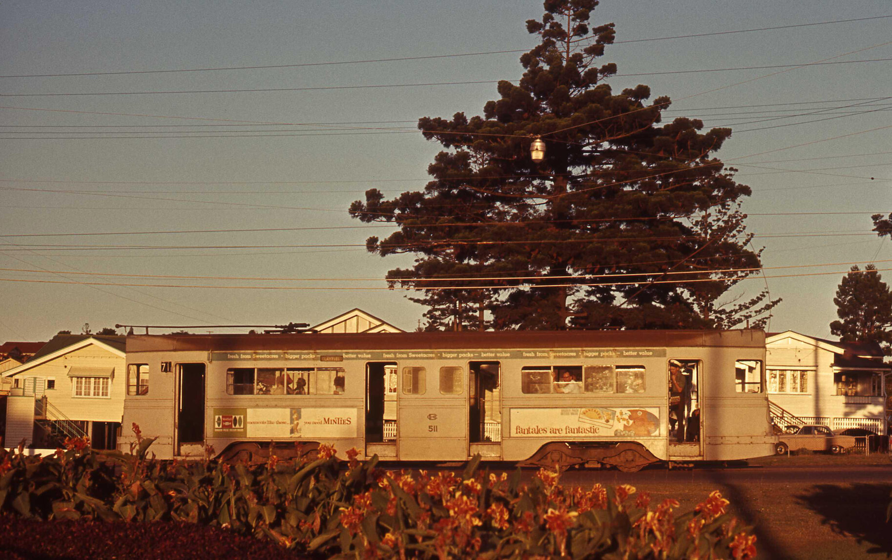 Tram No. 511 on Beaudesert Road, Moorooka - 1969