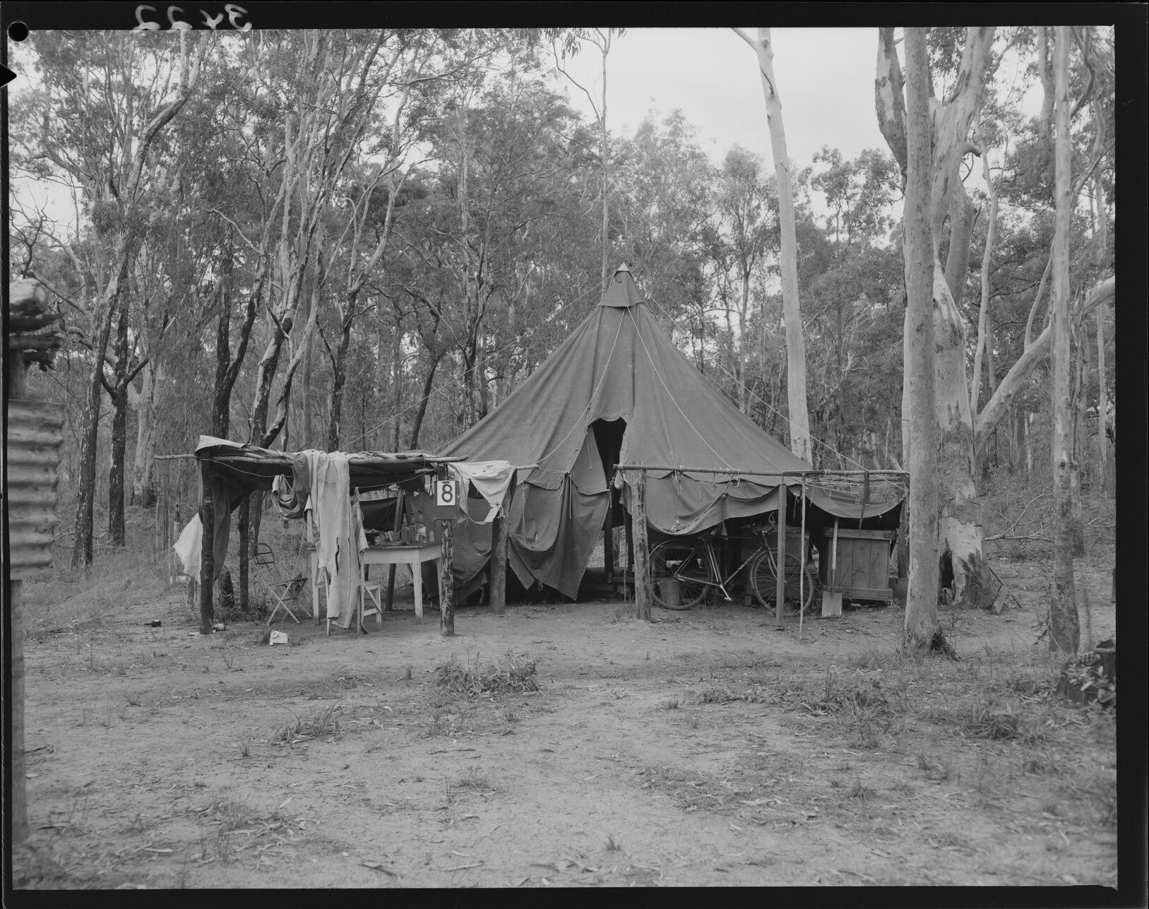 Temporary house labelled 8 with tent roof and bicycle Wacol - 1953