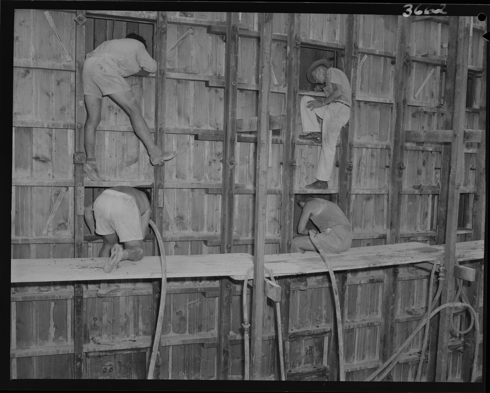 Workmen pouring concrete in Serviceton Reservoir, Spring Hill - 1953